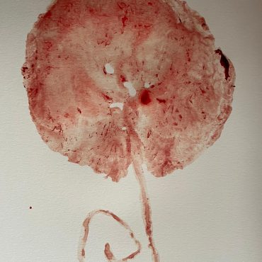 remedios placentarios